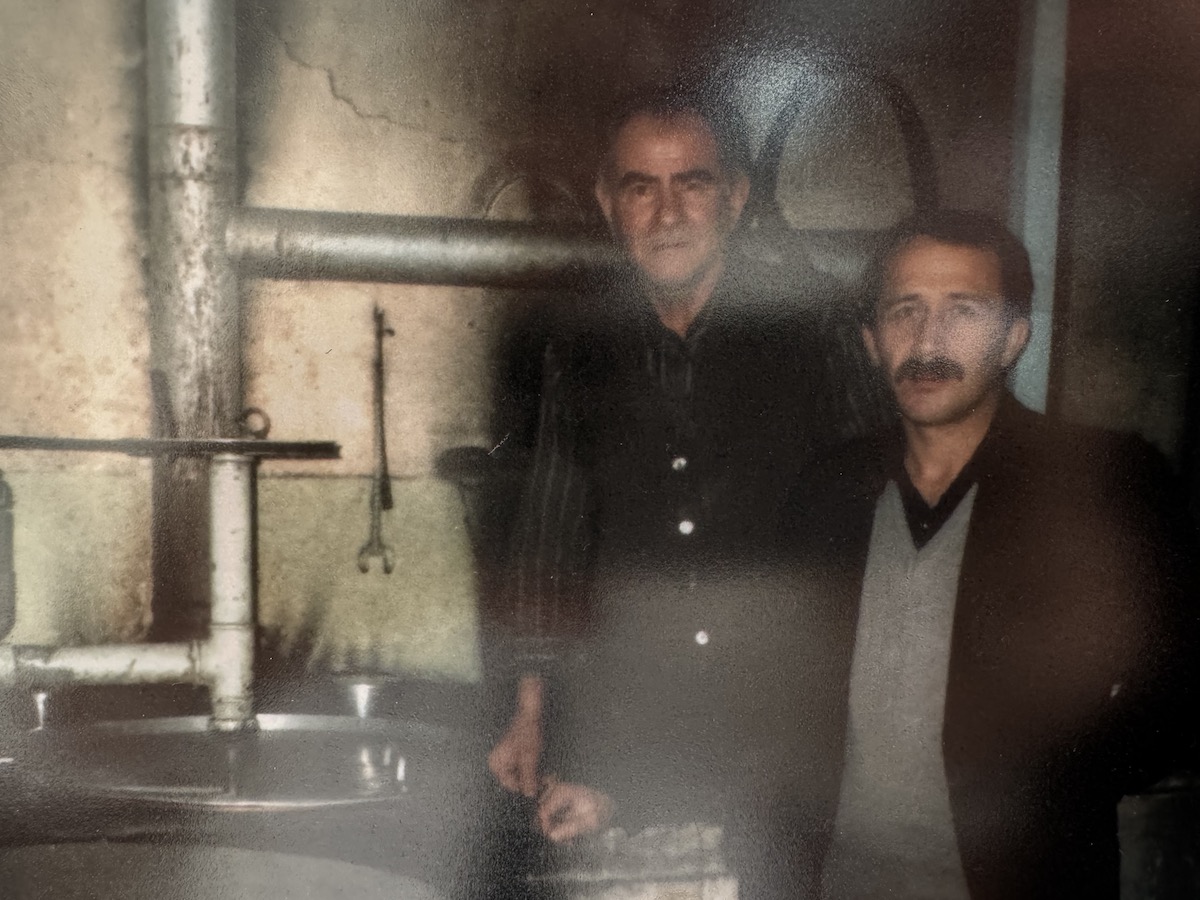 KARAKEDİ BOZACISI - Fotoğraf 2