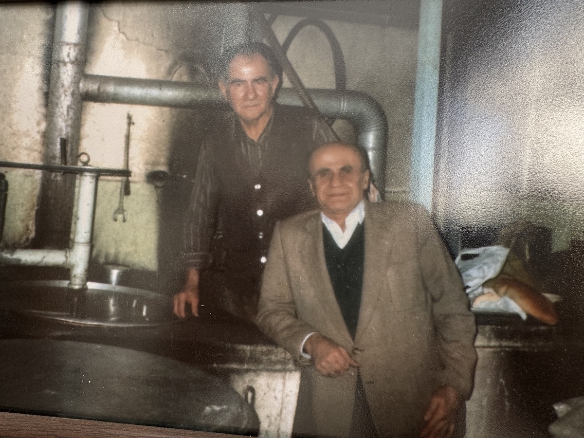 KARAKEDİ BOZACISI - Fotoğraf 3